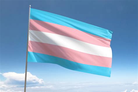 mtf flag|pride flag identifier.